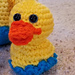 duckling photo 2