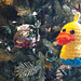 duckling photo 3