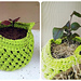 small 4 inch planter photo 4