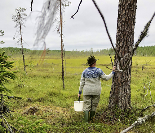 Vindmylla genser - Helena Fräulin
