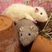 nip & nora rats pattern 