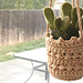 Sonora Hanging Plant Cozy pattern 