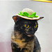 Straw hat for cat pattern