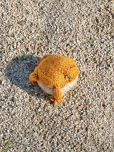 Desert Rain-Frosk - Yu Jeong