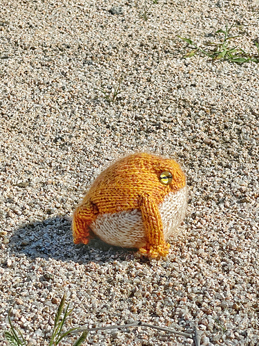 Desert Rain-Frosk - Yu Jeong