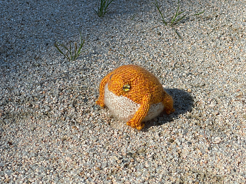 Desert Rain-Frosk - Yu Jeong