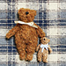 Mini Teddy Bear pattern 