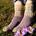 Fairy Tale Flowers Socks pattern
