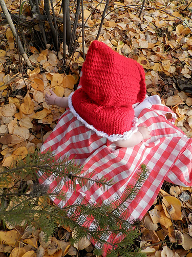 Little Red Riding Hood/ Christmas Hood photo 3