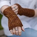Danima banksiae Mitt pattern 