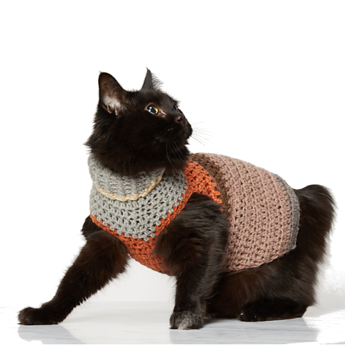 Small Pet Stripy Sweater photo 3