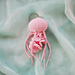 Sea Nettle Jellyfish pattern 