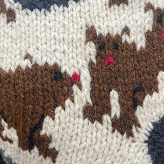 Bear Family Detail