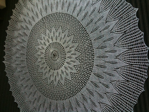 Sun Ray Design 다른 모습 6