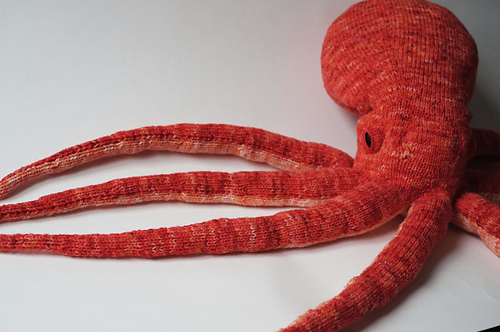 Opus the Octopus photo 1