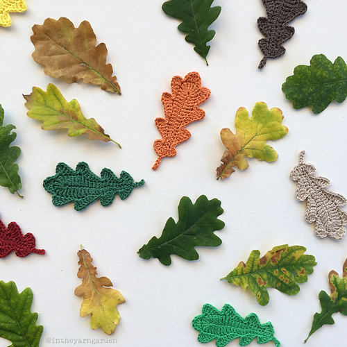 Oak leaves photo 2