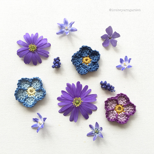Sunday Flower photo 3