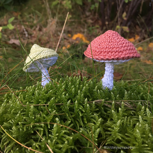 Colorful mushrooms photo 5