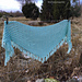 Interwebs Shawl photo 4