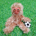 Snow Monkey pattern 