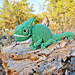 Chameleon pattern