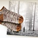 Brave the Seasons Socks pattern 