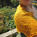 Ginkgo Crescent photo 3