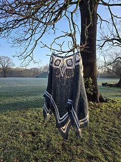 A park with a blue and white poncho hanging from a bare tree branch. Frosty grass and trees in the background under a hazy blue sky.