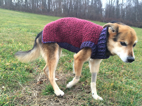 The Poet Dog Sweater photo 3