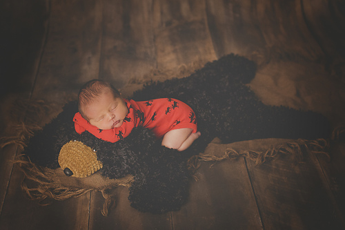 Faux Bear Skin Nursery Rug - AppleTree Photography
