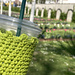 Spring Vibes Coffee Sleeve pattern 