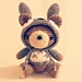 Totoro Hoodie Bear pattern 