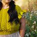 Sweetgrass Crop pattern 