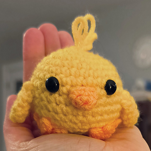 Quick baby chick