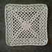 Petals And Lace Square pattern