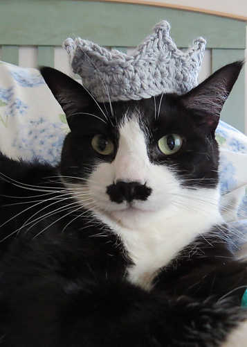 Kattkrona - jjpinkshoes