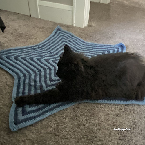 Pet Star Blanket