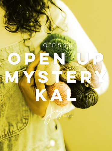 Open Up Mystery Shawl 다른 모습 3