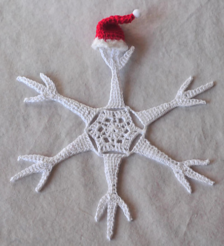 Santa Hat Snowflake photo 1