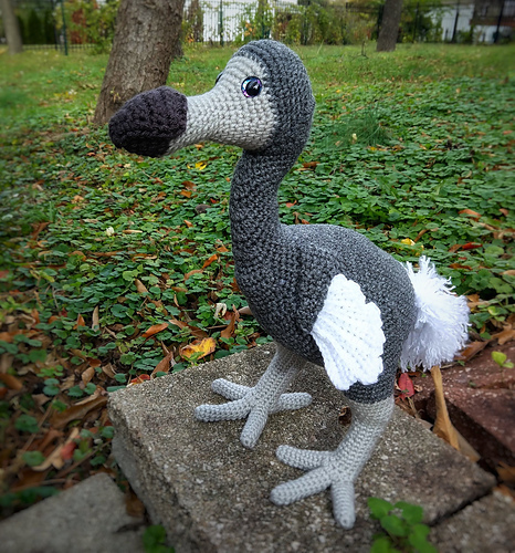 Ravelry: Dodo Amigurumi pattern by Jennifer Starbird