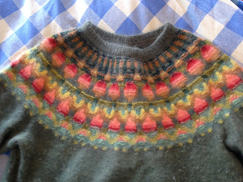 Ravelry: The Wild Apple Pullover POC pattern by Kerstin Olsson