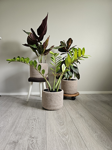 Modern pot cover