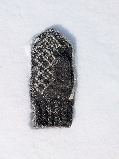 The Lion: Right palm