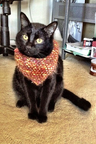 The Triangle Cowl for Tiny Creatures photo 10