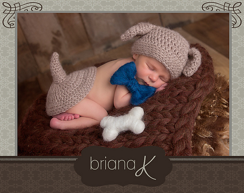 Puppy Dog Outfit with Bone Crochet photo 2