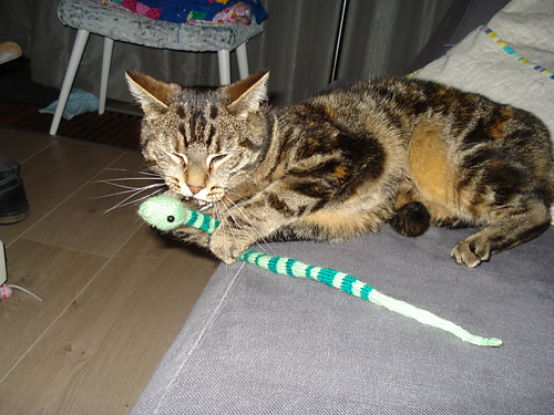 Sweet Little Snake photo 4