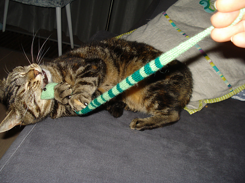 Sweet Little Snake photo 3