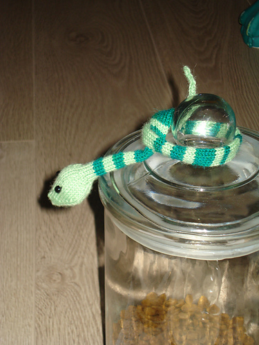 Sweet Little Snake photo 7