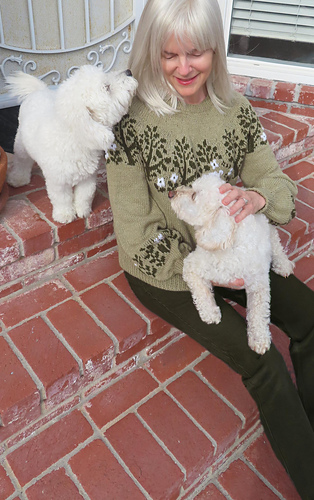 Mellow, Teddy and Kimmy