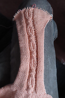 Shoulder